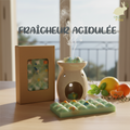 tablette de fondants de cire parfumés aux agrumes pour ambiancer la cuisine avec des effluves envoutantes acidulées.