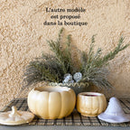 🕯️Bougie citrouille artisanale, création exclusive, Céramique – Cire Écologique / petit format