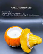 🕯️Bougie citrouille artisanale, création exclusive, Céramique – Cire Écologique / petit format