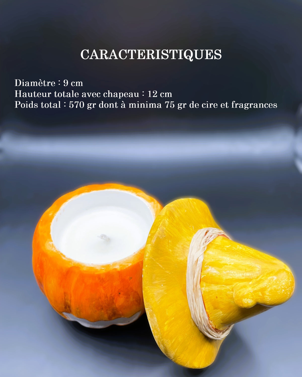 🕯️Bougie citrouille artisanale, création exclusive, Céramique – Cire Écologique / petit format